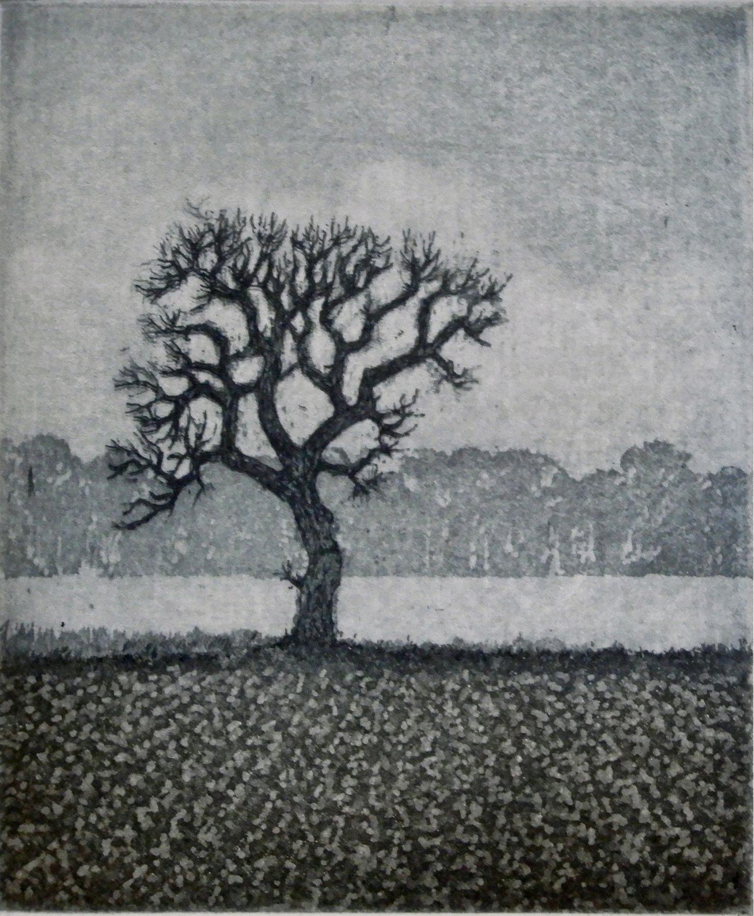 Laurie Rudling - Norfolk Artist of Aquatint Etchings, Collagraphs and ...